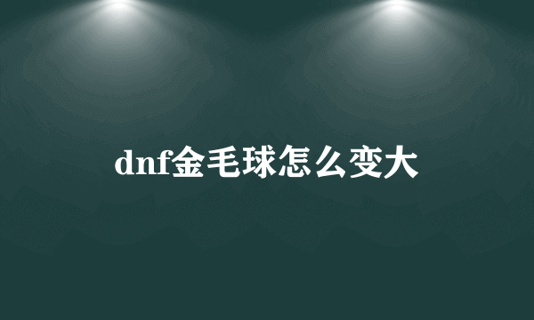 dnf金毛球怎么变大