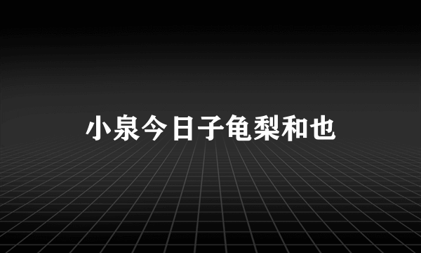 小泉今日子龟梨和也