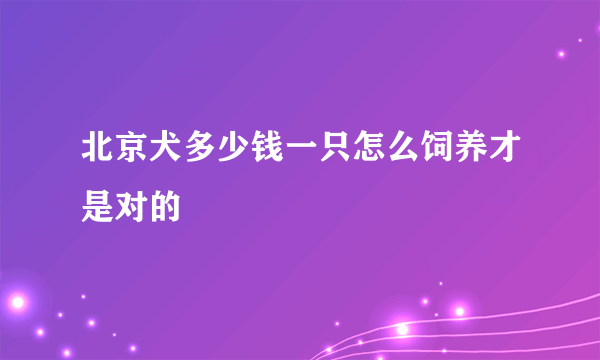 北京犬多少钱一只怎么饲养才是对的