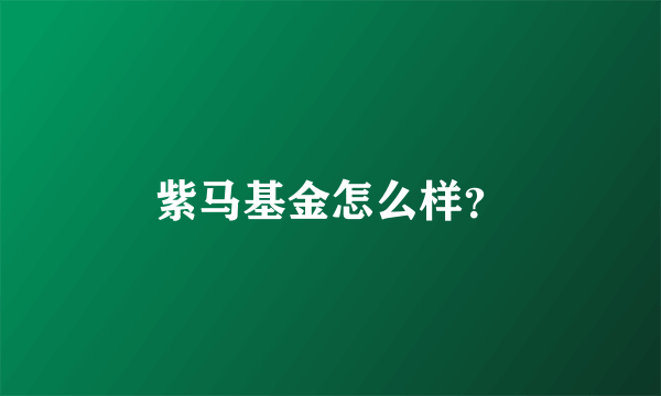 紫马基金怎么样？