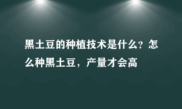 黑土豆的种植技术是什么？怎么种黑土豆，产量才会高