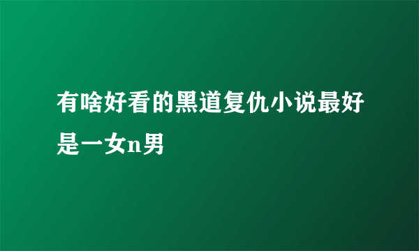 有啥好看的黑道复仇小说最好是一女n男