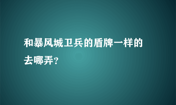 和暴风城卫兵的盾牌一样的 去哪弄？