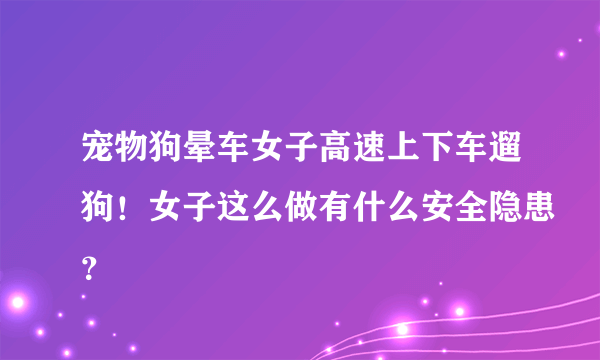 宠物狗晕车女子高速上下车遛狗！女子这么做有什么安全隐患？