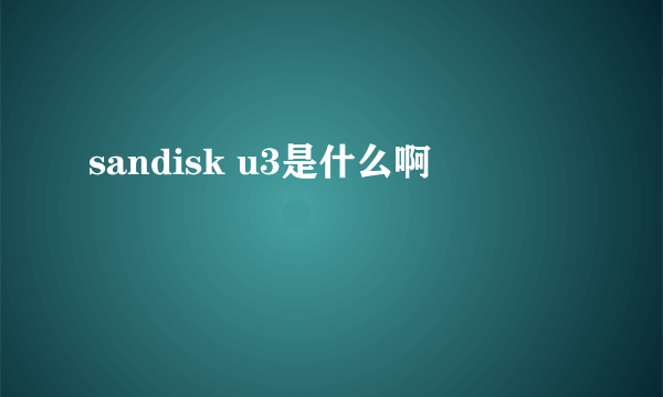 sandisk u3是什么啊