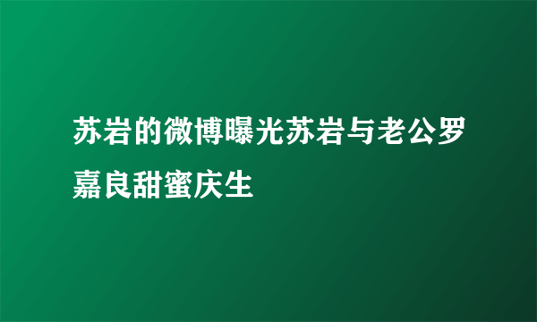 苏岩的微博曝光苏岩与老公罗嘉良甜蜜庆生