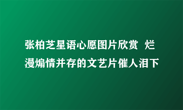 张柏芝星语心愿图片欣赏  烂漫煽情并存的文艺片催人泪下