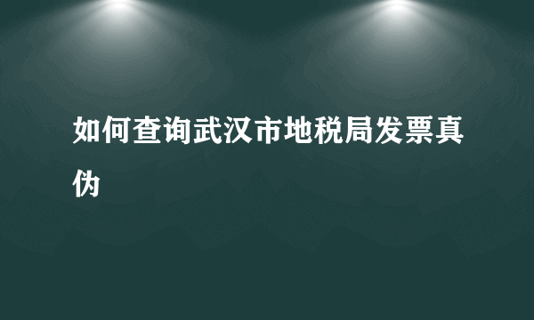 如何查询武汉市地税局发票真伪