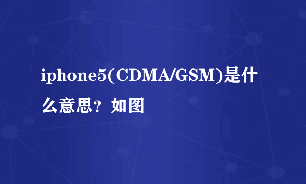 iphone5(CDMA/GSM)是什么意思？如图