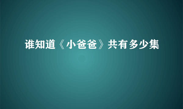 谁知道《小爸爸》共有多少集