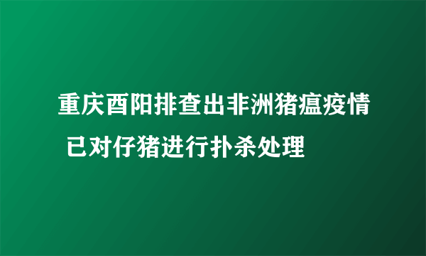 重庆酉阳排查出非洲猪瘟疫情 已对仔猪进行扑杀处理