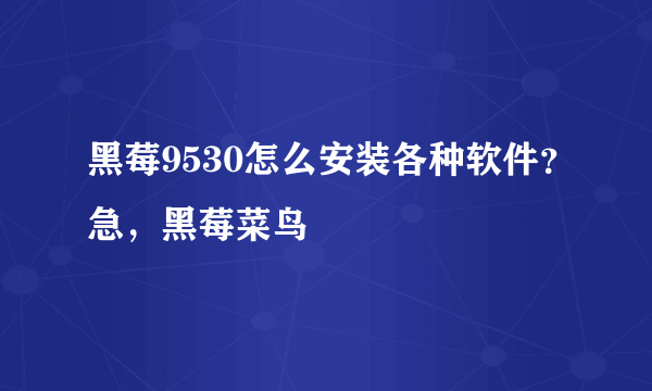 黑莓9530怎么安装各种软件？急，黑莓菜鸟