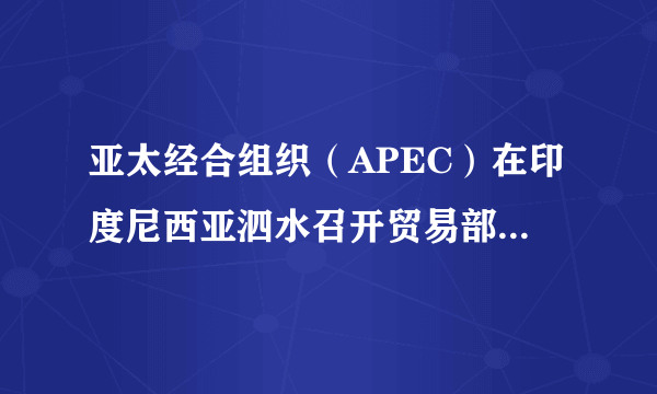 亚太经合组织（APEC）在印度尼西亚泗水召开贸易部长会议，会上贸易部长们同意成员经济体国间分享信息，并承诺到2016年将关税削减到5%或以下。这说明亚太经合组织（   ）A.将建立统一的亚太区域市场体系B.把对抗欧盟作为该组织的重要任务C.将进一步推动区域内部自由贸易D.将会完全消除各国间的矛盾和冲突