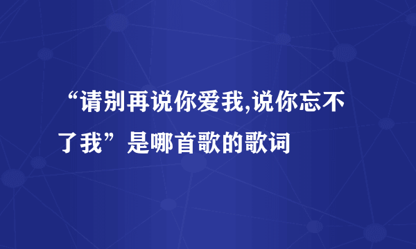 “请别再说你爱我,说你忘不了我”是哪首歌的歌词