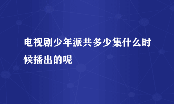 电视剧少年派共多少集什么时候播出的呢