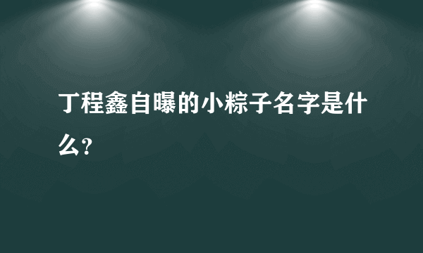 丁程鑫自曝的小粽子名字是什么？