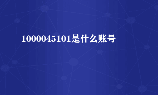 1000045101是什么账号