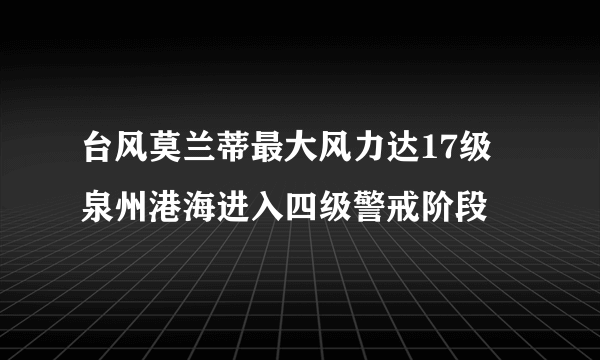 台风莫兰蒂最大风力达17级 泉州港海进入四级警戒阶段