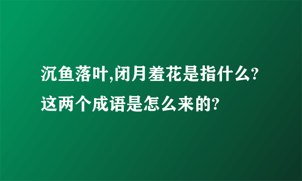 沉鱼落叶,闭月羞花是指什么?这两个成语是怎么来的?