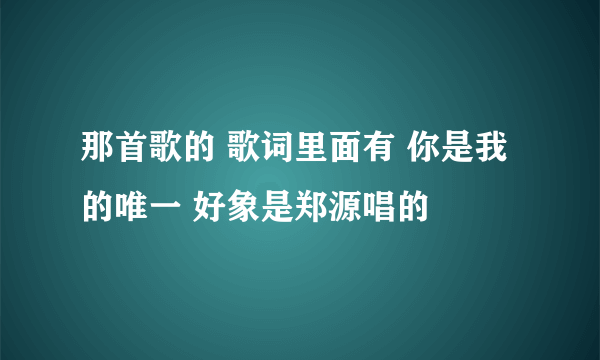 那首歌的 歌词里面有 你是我的唯一 好象是郑源唱的