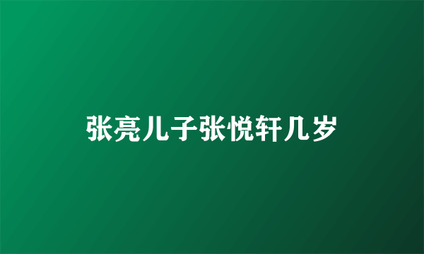 张亮儿子张悦轩几岁