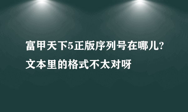 富甲天下5正版序列号在哪儿?文本里的格式不太对呀