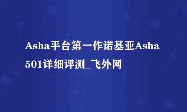 Asha平台第一作诺基亚Asha501详细评测_飞外网