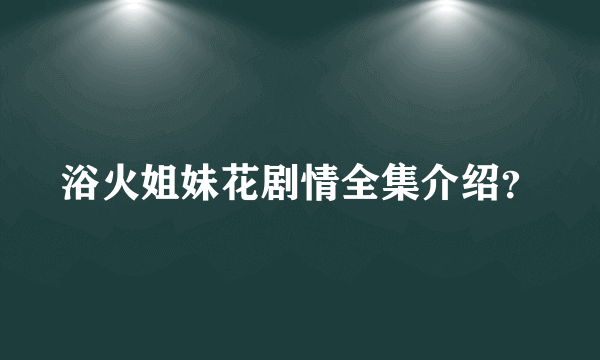 浴火姐妹花剧情全集介绍？