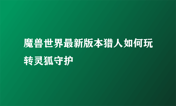 魔兽世界最新版本猎人如何玩转灵狐守护