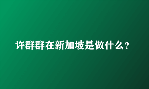 许群群在新加坡是做什么？