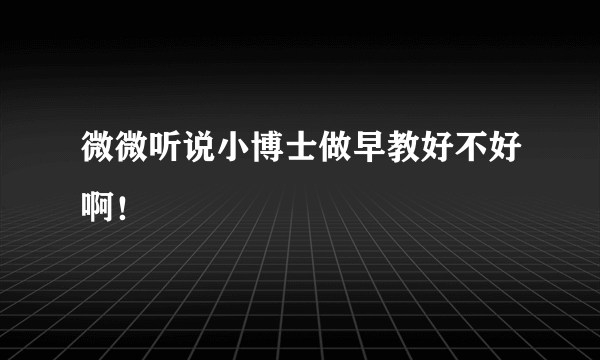 微微听说小博士做早教好不好啊！