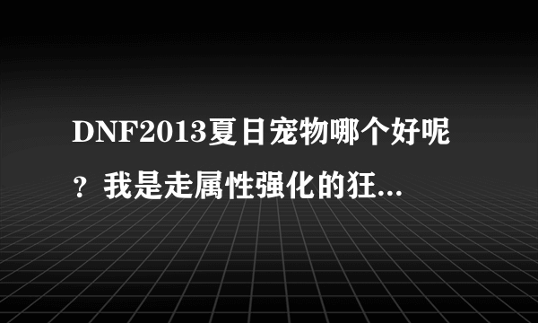 DNF2013夏日宠物哪个好呢？我是走属性强化的狂战，我该如何选择啊