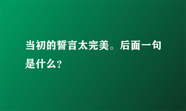 当初的誓言太完美。后面一句是什么？