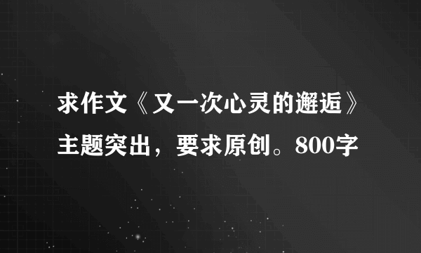 求作文《又一次心灵的邂逅》主题突出，要求原创。800字