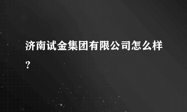 济南试金集团有限公司怎么样？