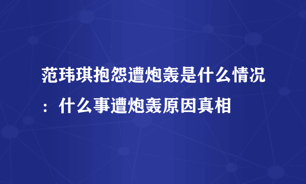 范玮琪抱怨遭炮轰是什么情况：什么事遭炮轰原因真相