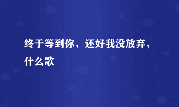 终于等到你，还好我没放弃，什么歌