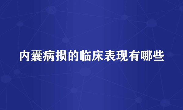 内囊病损的临床表现有哪些