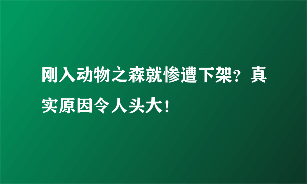 刚入动物之森就惨遭下架？真实原因令人头大！