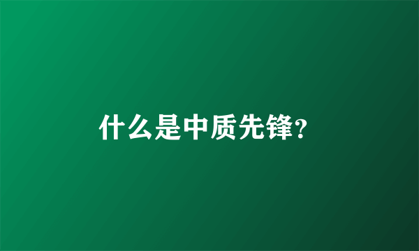 什么是中质先锋？