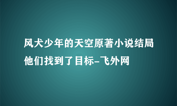 风犬少年的天空原著小说结局他们找到了目标-飞外网