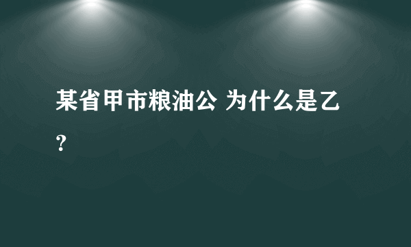 某省甲市粮油公 为什么是乙？