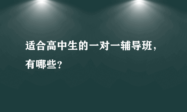 适合高中生的一对一辅导班，有哪些？