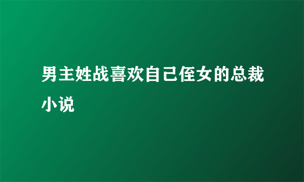 男主姓战喜欢自己侄女的总裁小说