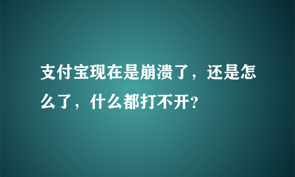 支付宝现在是崩溃了，还是怎么了，什么都打不开？