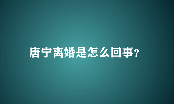 唐宁离婚是怎么回事？