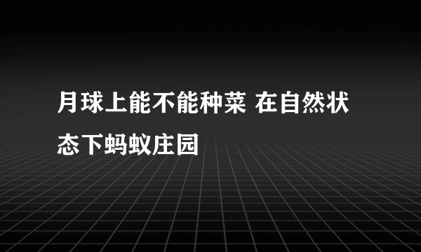 月球上能不能种菜 在自然状态下蚂蚁庄园