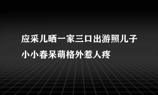 应采儿晒一家三口出游照儿子小小春呆萌格外惹人疼