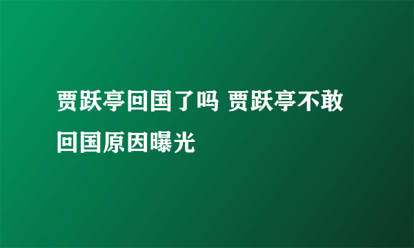 贾跃亭回国了吗 贾跃亭不敢回国原因曝光