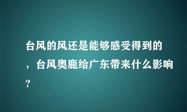 台风的风还是能够感受得到的，台风奥鹿给广东带来什么影响？